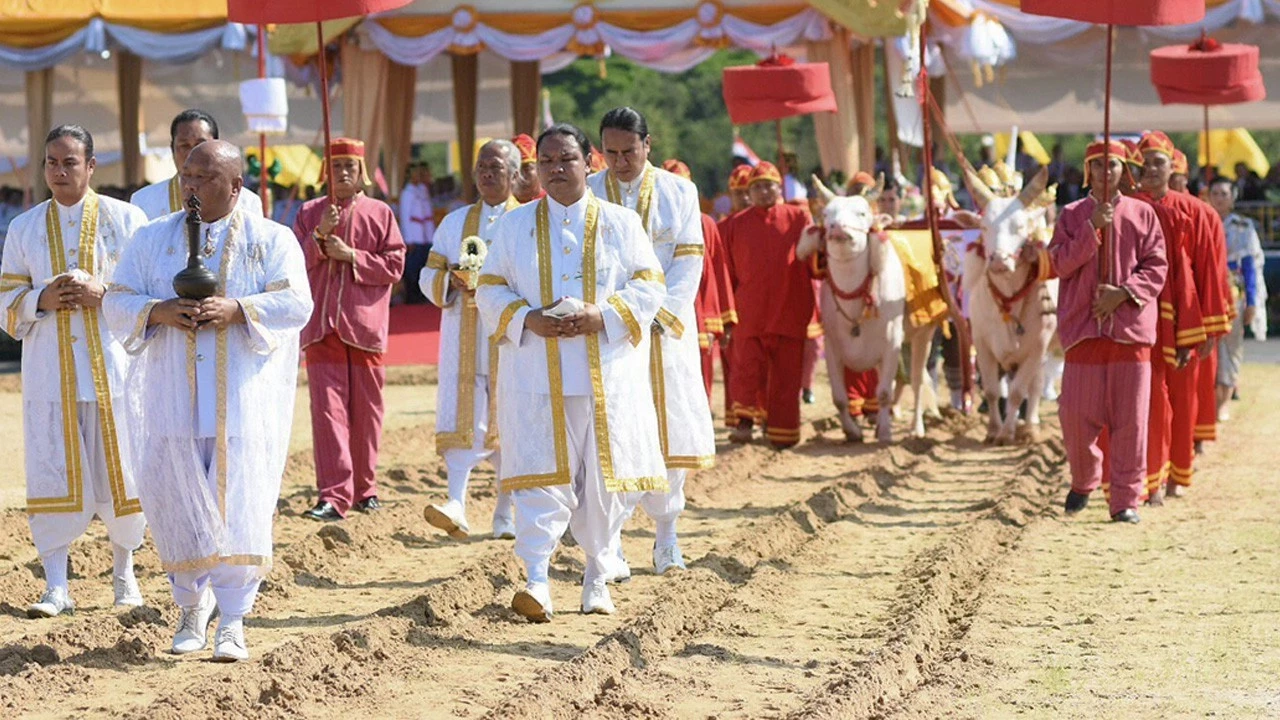 เช็กขั้นตอน ลงทะเบียนรับ เมล็ดพันธุ์ข้าว "วันพืชมงคล" ต้องทำอย่างไร ?