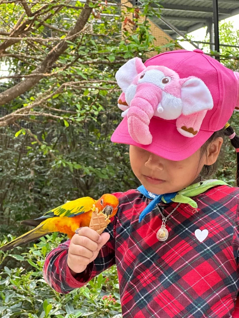 Safari Feeding หนึ่งเดียวในไทย! พิสูจน์ความกล้าใกล้ชิดนักล่า Predator