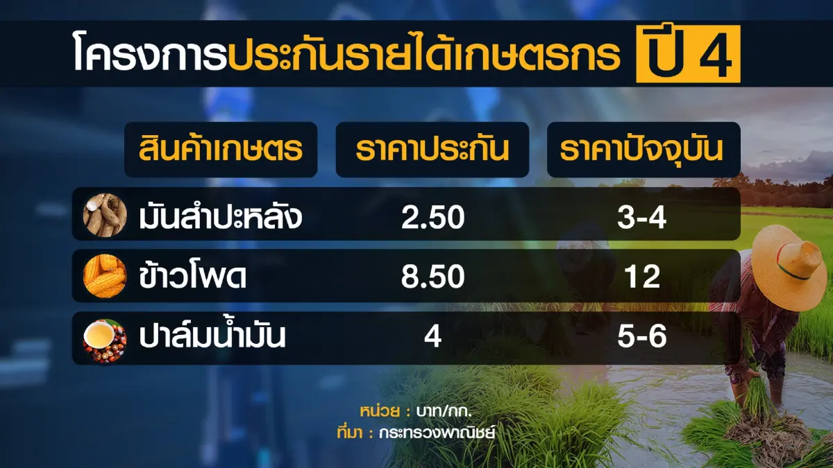 พาณิชย์เดินหน้า 'ประกันรายได้' ปี 4 สินค้าเกษตร