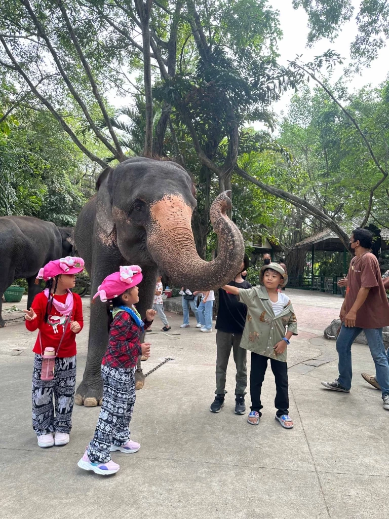 Safari Feeding หนึ่งเดียวในไทย! พิสูจน์ความกล้าใกล้ชิดนักล่า Predator