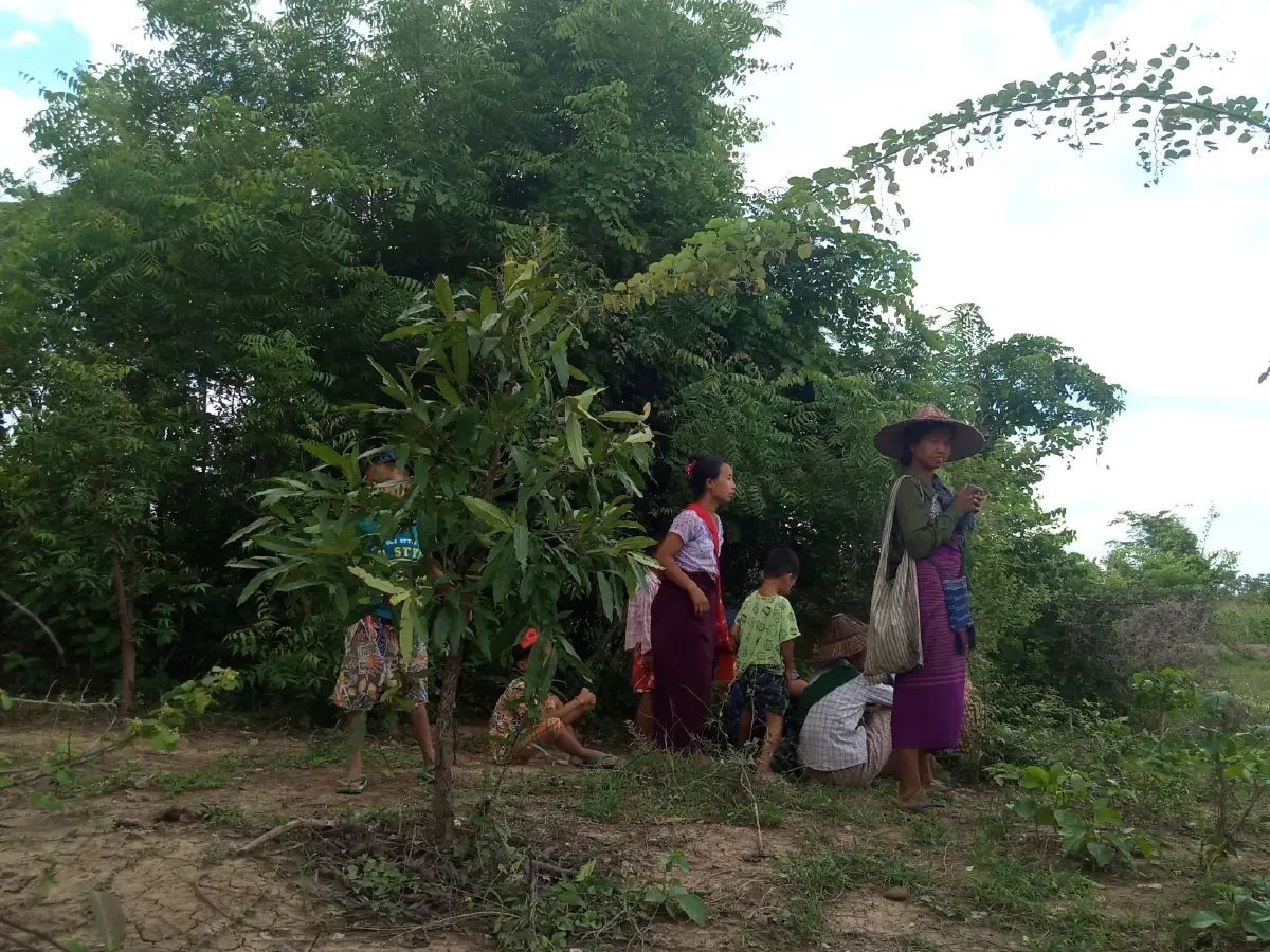 พบมาลาเรียระบาดหนักในเมียนมา บางพื้นที่มีผู้ป่วยมากขึ้นกว่าเดิม 10 เท่า