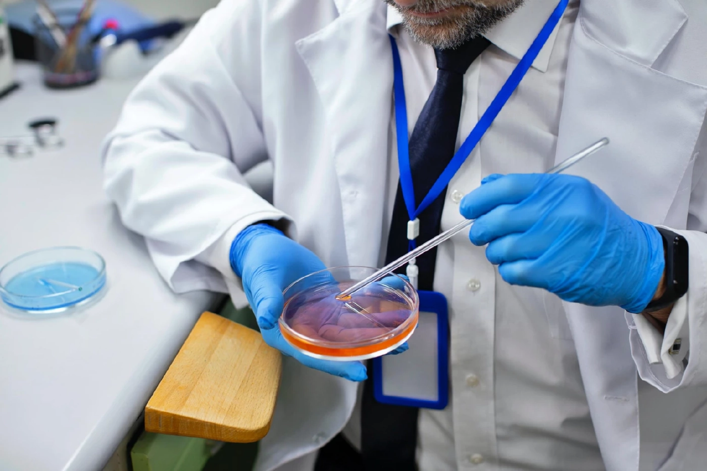 เนื้อสัตว์เพาะเลี้ยงกับแนวคิดเรื่องฮาลาล