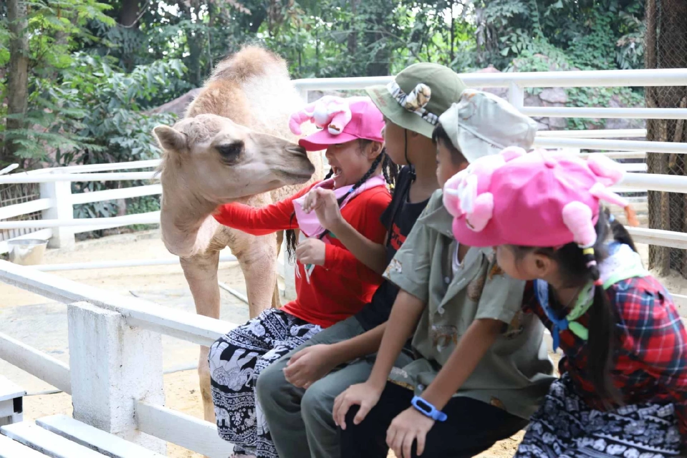 Safari Feeding หนึ่งเดียวในไทย! พิสูจน์ความกล้าใกล้ชิดนักล่า Predator