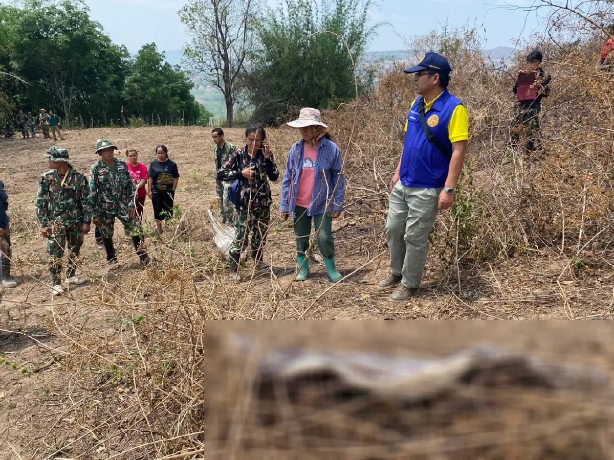 "ช้างป่า" เขตรักษาพันธุ์สัตว์ป่าภูหลวง เหยียบชาวบ้านดับคาไร่