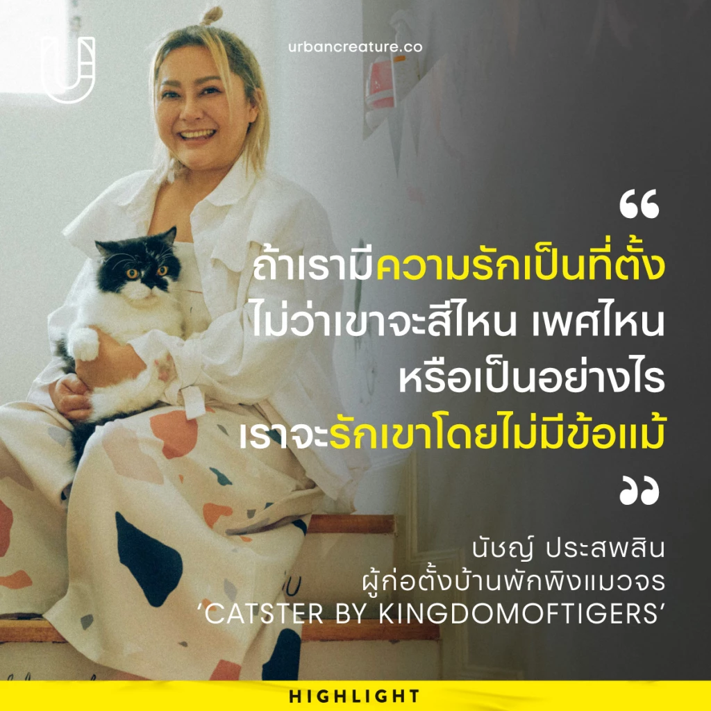 เศร้าเกินจะบรรยาย เพจทูนหัวของบ่าว แจ้งข่าว \"เสือขาว\" กลับดาวแมวแล้ว