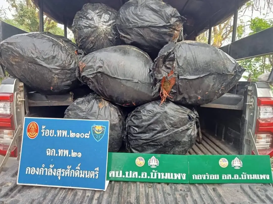 สมเป็นมหานครกัญชา! ทหารพรานยึดกัญชาสวมสิทธิ์ 13 กระสอบ แอบขนข้ามโขง