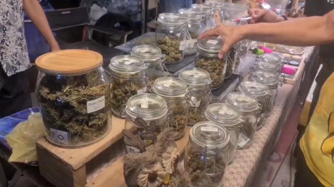 กรมการแพทย์แผนไทย ประสานตร.บุกจับค้ากัญชาเถื่อน เกลื่อนตลาดนัดดังนนทบุรี