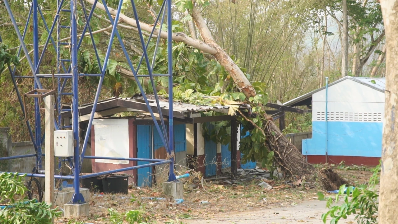 พายุฤดูร้อนถล่มเมืองเลย ต้นไม้หักโค่นทับบ้าน หลายอำเภอไฟฟ้าดับทั้งเมือง