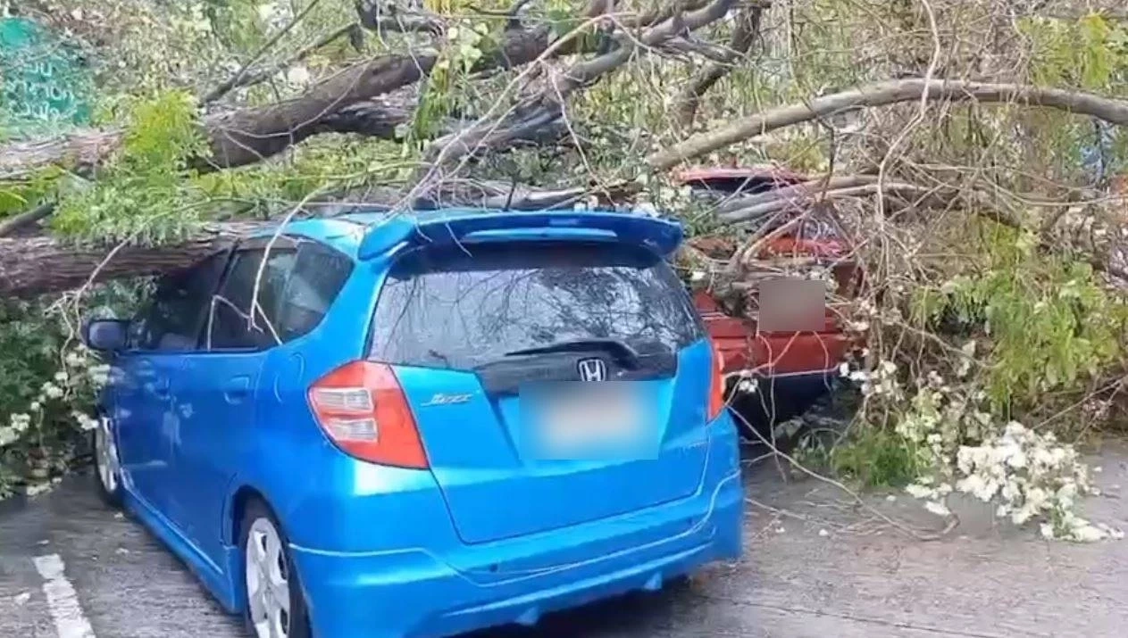 ฝนถล่มศรีราชา น้ำซัดรถลอยไปกับกระแสน้ำ-ต้นไม้หักโค่นทับเก๋งเสียหาย 3 คัน (คลิป)