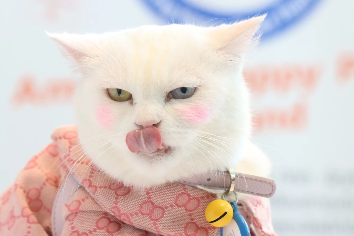 ปักหมุดจัด “Pet Expo Thailand 2023” พฤษภาคมนี้