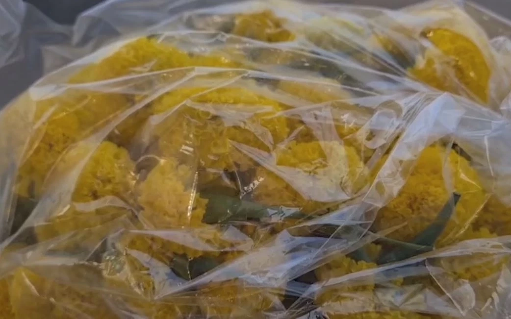 ดอกดาวเรืองขายดี หลังเริ่มศึกหาเสียงเลือกตั้ง