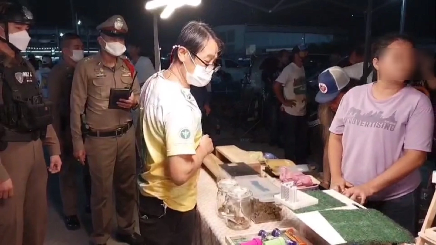 กรมการแพทย์แผนไทย ประสานตร.บุกจับค้ากัญชาเถื่อน เกลื่อนตลาดนัดดังนนทบุรี
