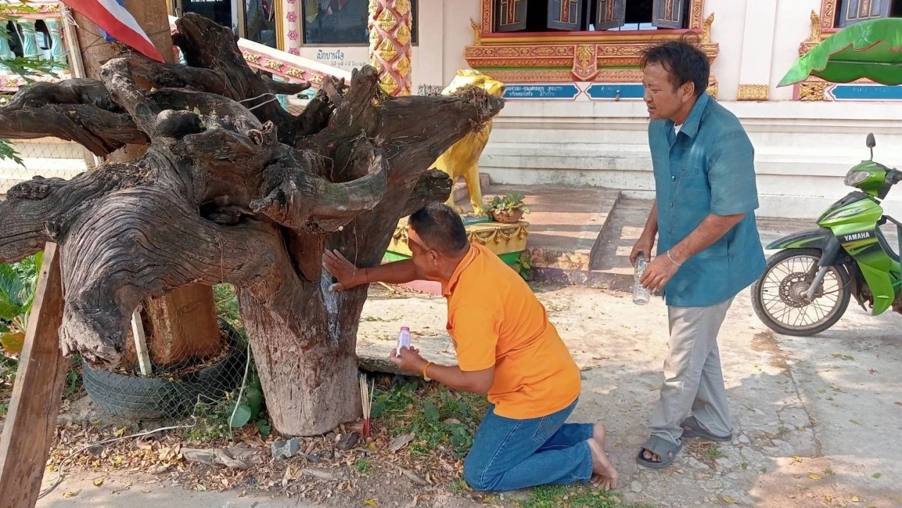 เปิดสถิติหวยออกวันอังคาร รวบรวมย้อนหลังให้ 20 ปี พบมี 2 เลขออกบ่อยมากจริงๆ