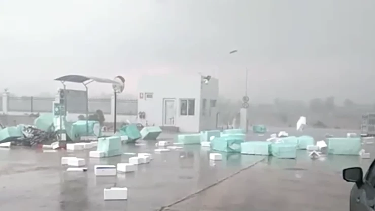 น่ากลัวสุด "พายุฤดูร้อน" ถล่มฉะเชิงเทรา กวาดต้นไม้ ตลาดนัด พังราบ (มีคลิป)