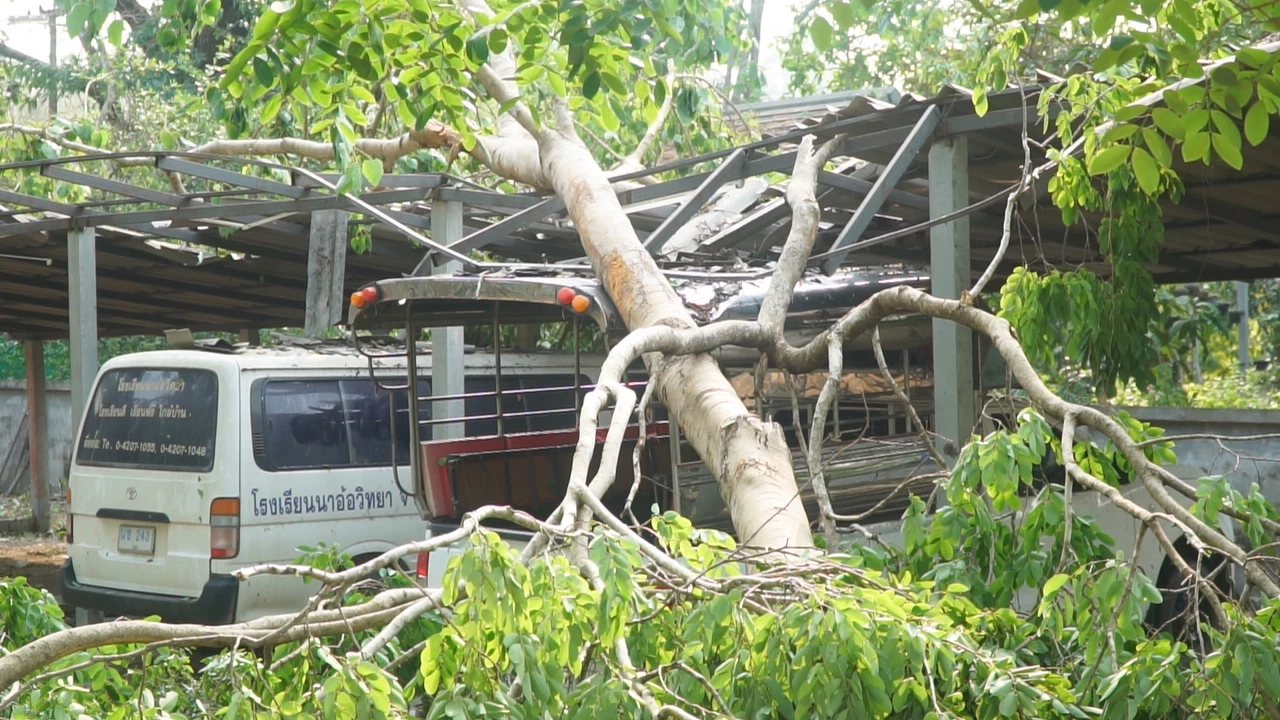 พายุฤดูร้อนถล่มเมืองเลย ต้นไม้หักโค่นทับบ้าน หลายอำเภอไฟฟ้าดับทั้งเมือง
