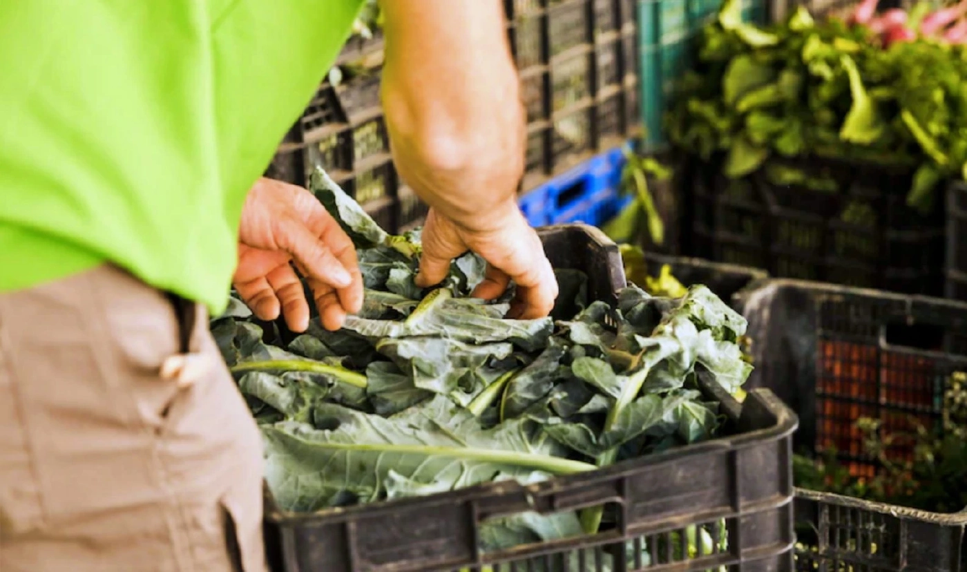 How to ทิ้ง : ลด Food Waste อาหารขยะตัวการทำโลกร้อน