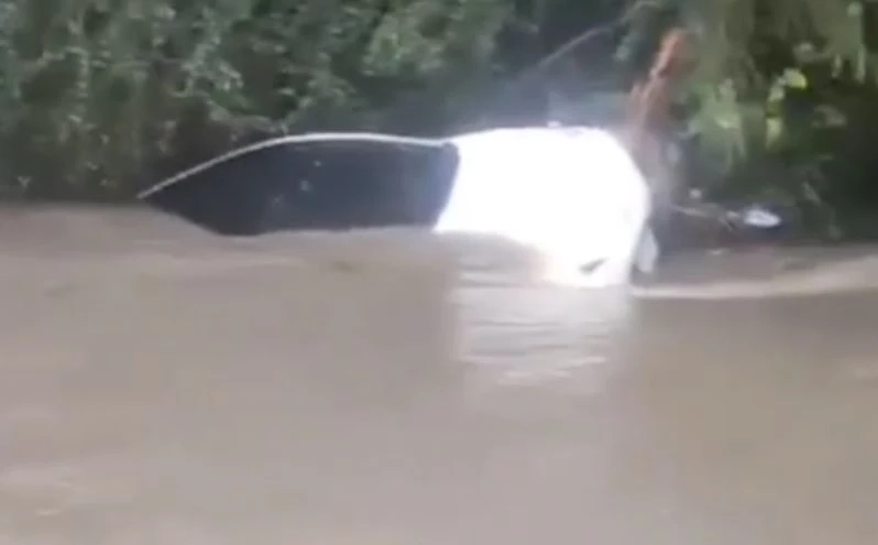 ฝนถล่มศรีราชา น้ำซัดรถลอยไปกับกระแสน้ำ-ต้นไม้หักโค่นทับเก๋งเสียหาย 3 คัน (คลิป)