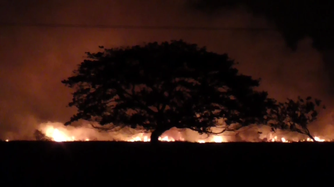 ชาวนาอ่างทองสุดดื้อ แอบเผาตอซังข้าวกลางดึก ส่งผลค่าความร้อนพุ่งสูง