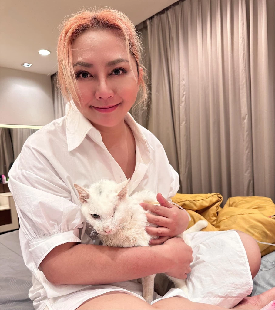 เศร้าเกินจะบรรยาย เพจทูนหัวของบ่าว แจ้งข่าว \"เสือขาว\" กลับดาวแมวแล้ว