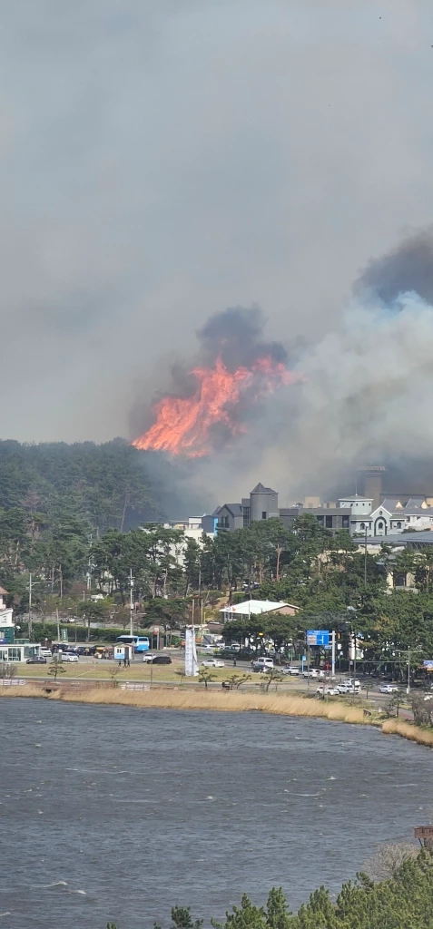ไฟป่าเกาหลีใต้ลามสู่ชุมชน ดับ 1 ราย ป่าวอด 2,370 ไร่