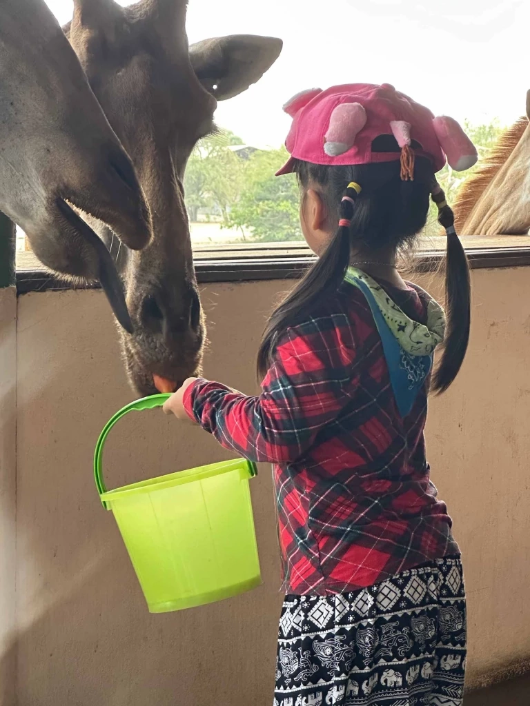 Safari Feeding หนึ่งเดียวในไทย! พิสูจน์ความกล้าใกล้ชิดนักล่า Predator