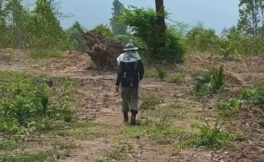 เจอแล้ว ร่างตาวัย 72 หลงป่าเขาใหญ่ หลังหายตัวไป 14 วัน