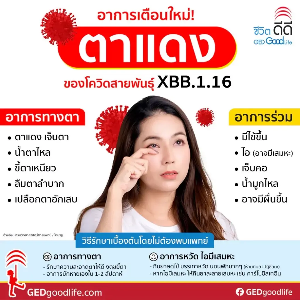 "หมอธีระ" อัปเดตสถานการณ์โควิด เผย XBB.1.16 ครองโลก
