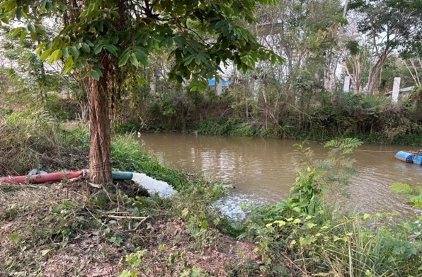 วิกฤตแล้ง! ทุเรียนป่าละอูขาดแคลนน้ำ กรมชลฯ เร่งสูบน้ำช่วย 