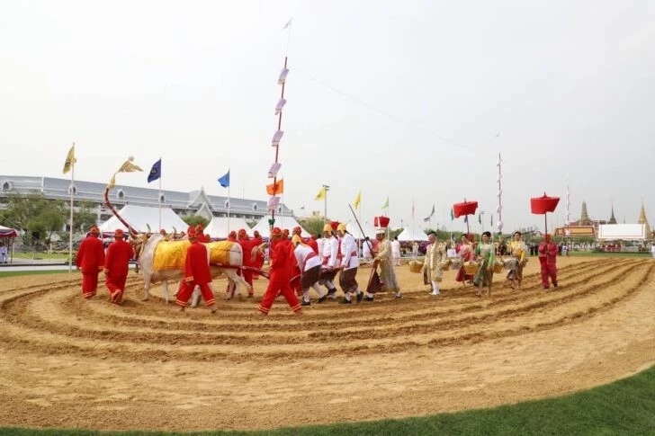 เช็กขั้นตอน ลงทะเบียนรับ เมล็ดพันธุ์ข้าว "วันพืชมงคล" ต้องทำอย่างไร ?