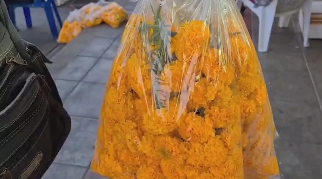 ดอกดาวเรืองขายดี หลังเริ่มศึกหาเสียงเลือกตั้ง