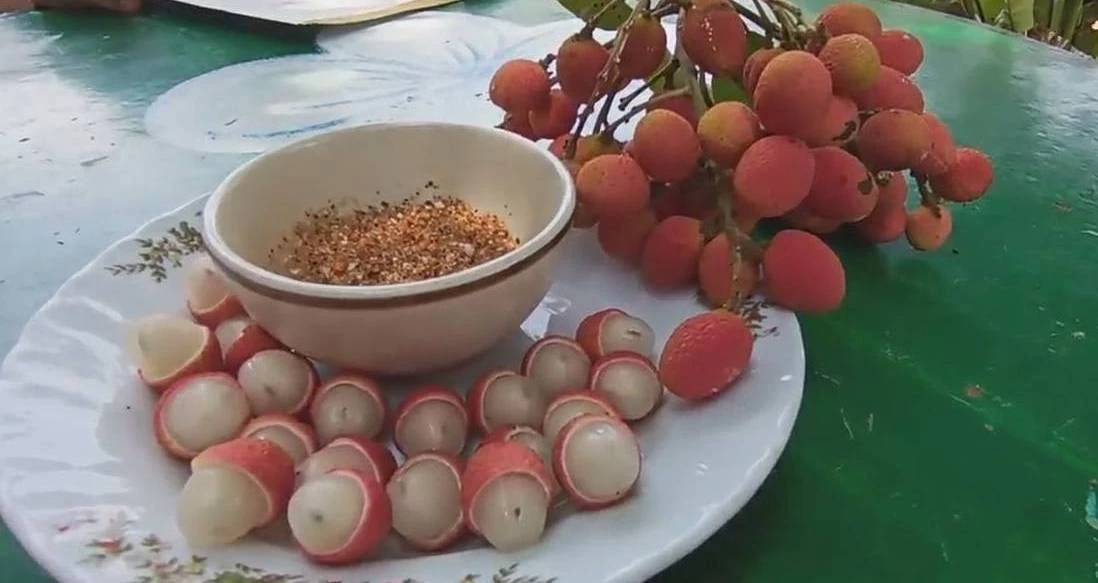 หากินยาก "คอแลน" ผลไม้ป่า 1 ปีมีครั้ง ออเดอร์เต็มทุกปี