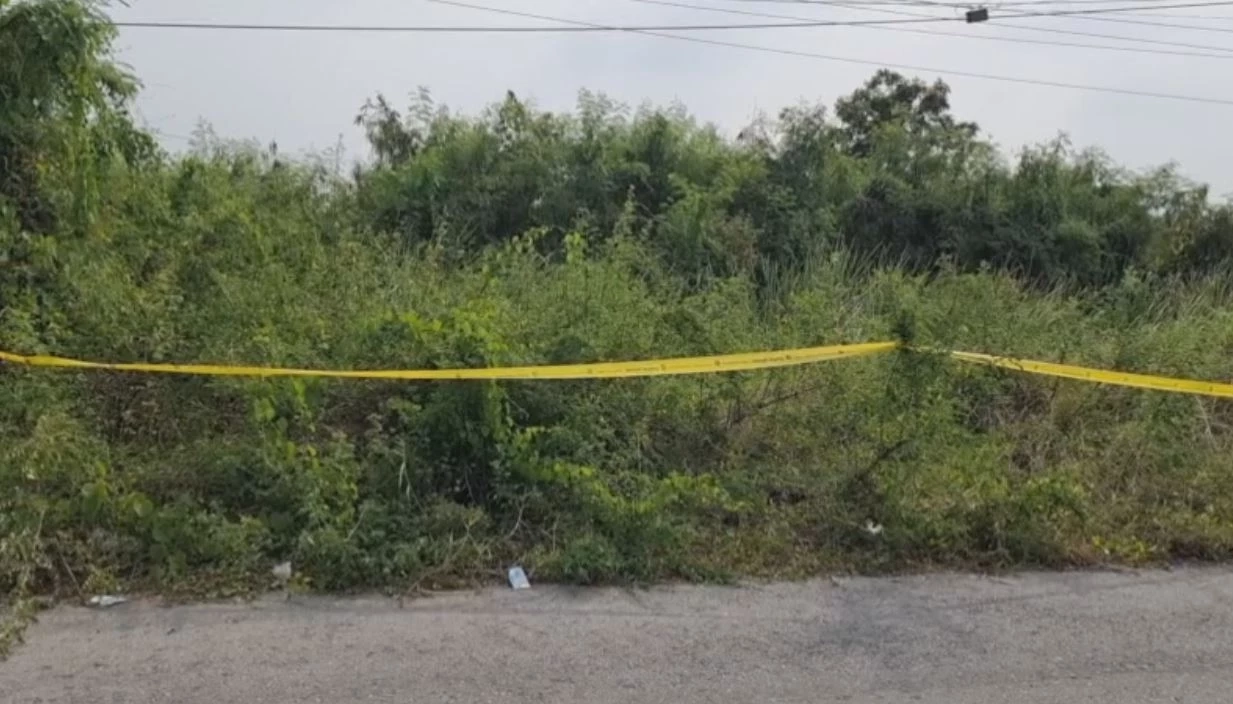 สุดโหด! พบศพ 2 ราย ถูกสังหารมัดมือ-เท้า ทิ้งพงหญ้าข้างถนน