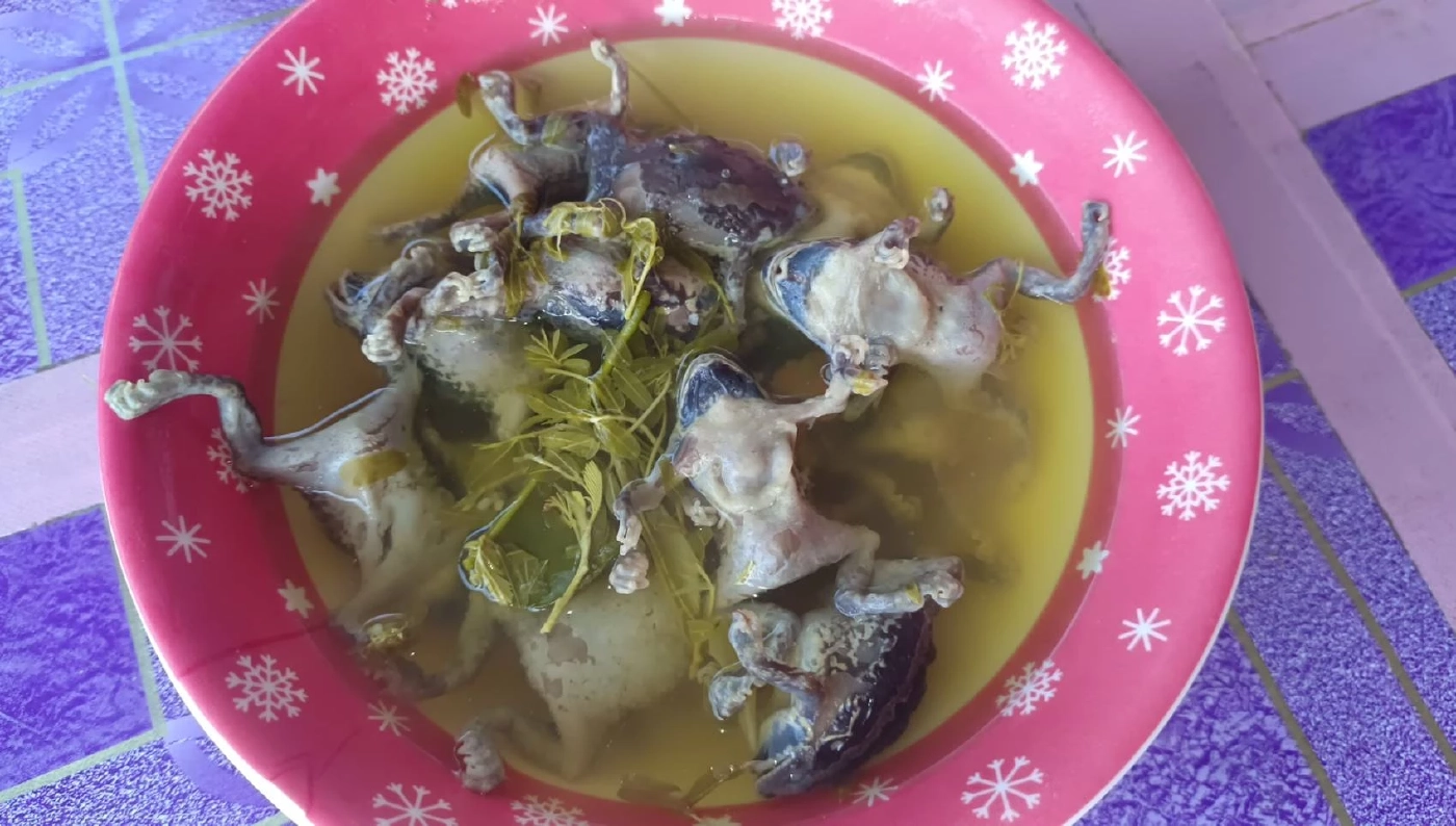 ฝนตกหนัก ชาวบ้านแห่จับ "อึ่งอ่าง" ขายสร้างรายได้ ทำเมนูเด็ด