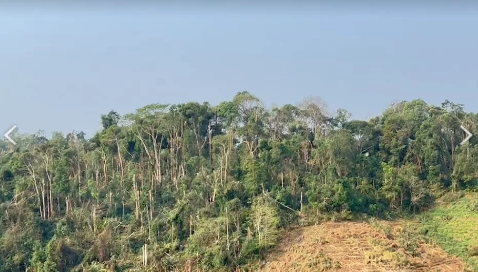 ม่อนแจ่มยับ "พายุฤดูร้อน" ถล่ม บ้านพัง ต้นไม้ล้ม ไฟฟ้าดับทั้งหมู่บ้าน
