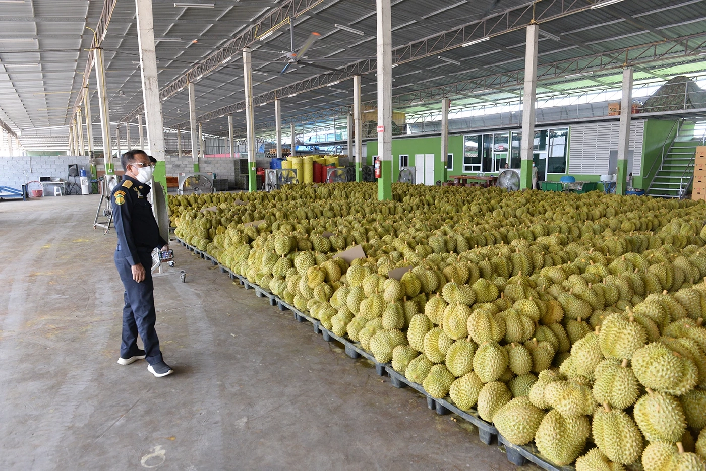 ไทยครองแชมป์อันดับ 1 ส่งออกผลไม้ไปจีน ด้านพาณิชย์เล็งดันผลไม้สดไปจีนเพิ่ม