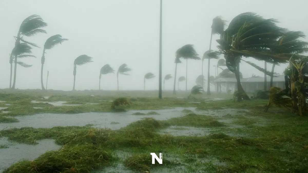 เช็กด่วน! กรมอุตุฯ แจ้ง 50 จว."พายุฤดูร้อน"ถล่ม ฝนฟ้าคะนอง ลมแรง ช่วงสงกรานต์