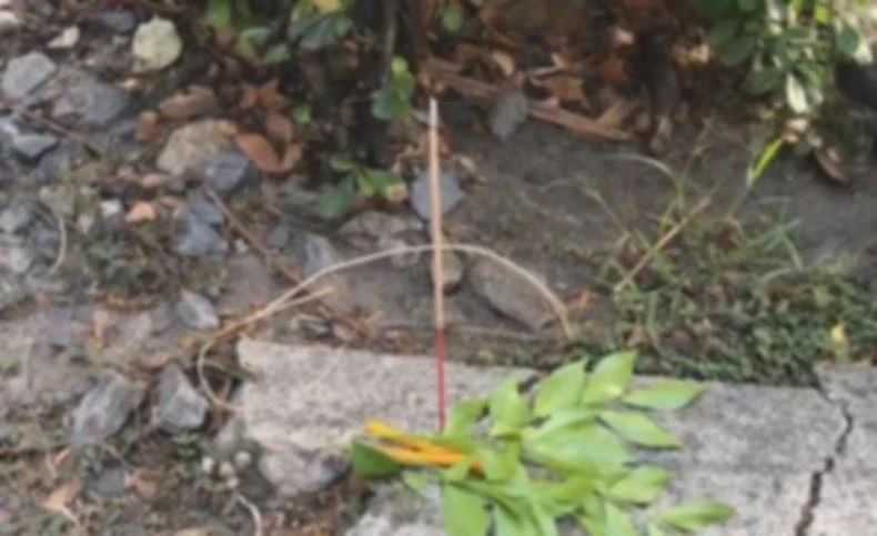 แม่ นศ.เทคโนปทุมวัน ร่ำไห้รับศพ เผย ลูกชายไม่เคยมีเรื่องกับใคร