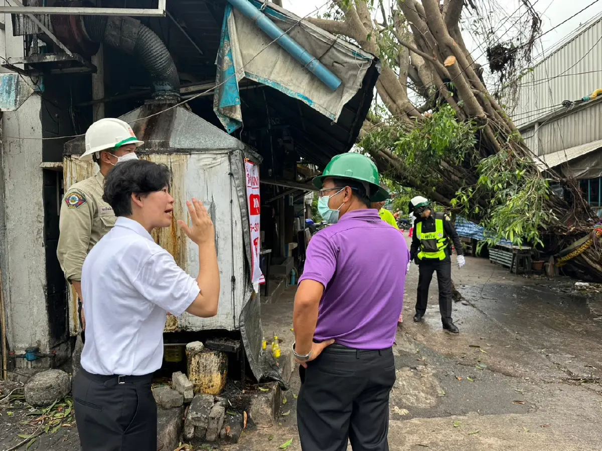 "ฐิติภัสร์" รุดตรวจสอบเหตุต้นไม้โค่นทับเสาไฟฟ้าหลังฝนตกลมกรรโชกแรง