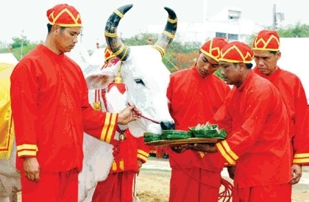 เช็กขั้นตอน ลงทะเบียนรับ เมล็ดพันธุ์ข้าว "วันพืชมงคล" ต้องทำอย่างไร ?