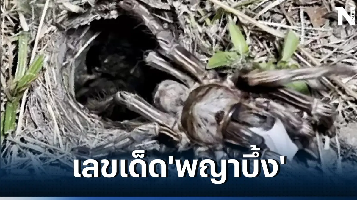 เลขเด็ด 2/5/66 คอหวยแห่ขอหวย 'พญาบึ้ง' ได้เน้นๆ ลุ้นรวยหวยงวด 2/5/66 