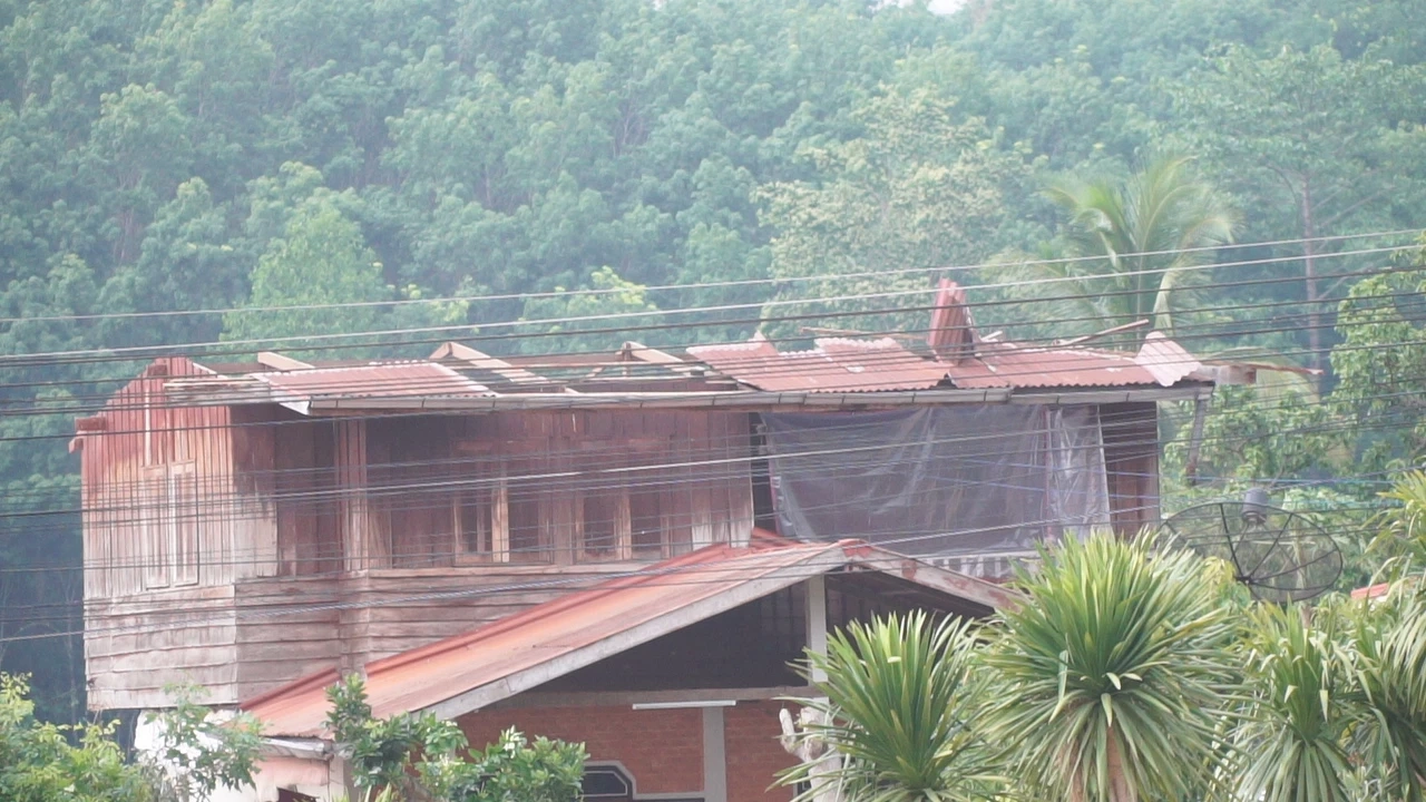 พายุฤดูร้อนถล่มเมืองเลย ต้นไม้หักโค่นทับบ้าน หลายอำเภอไฟฟ้าดับทั้งเมือง