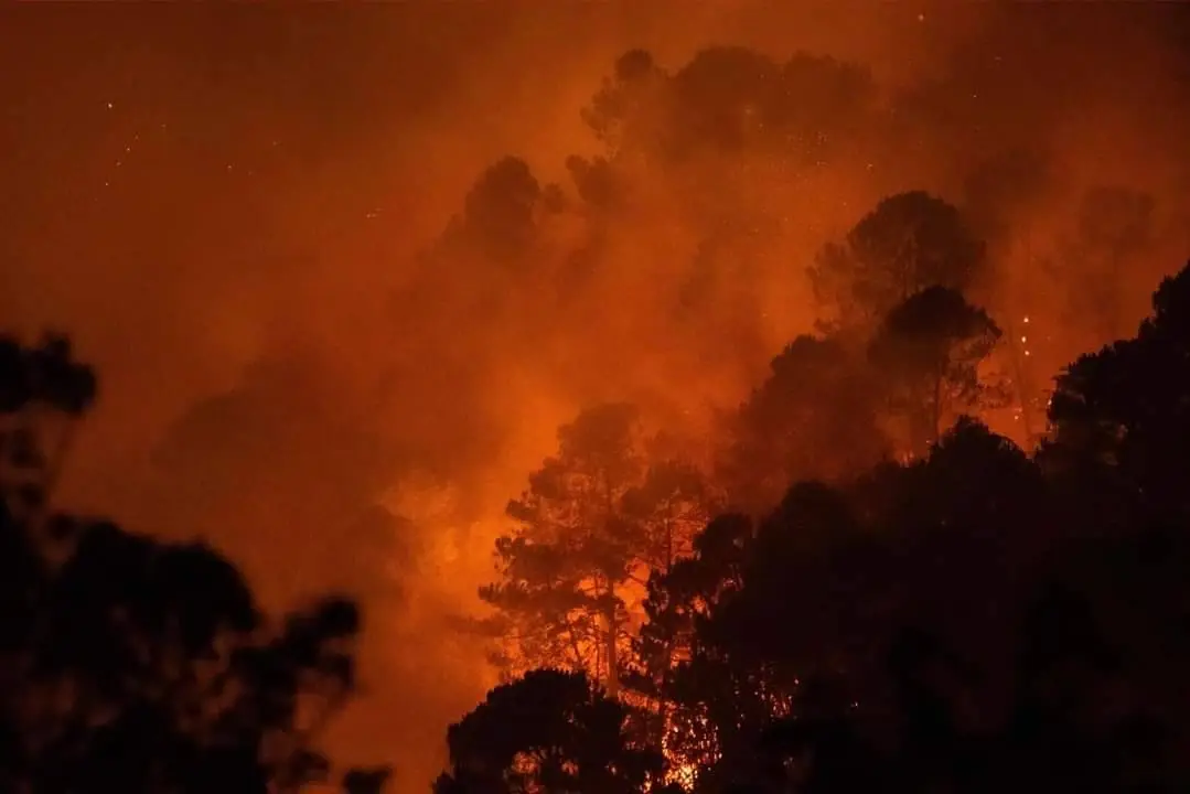 ระทึก! ไฟป่าลามไหม้ใกล้พระตำหนักดอยตุง 3 จุด จนท.ต้องระดมกำลังเข้าควบคุม