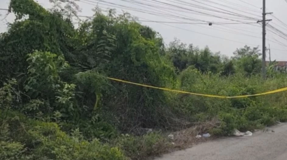 สุดโหด! พบศพ 2 ราย ถูกสังหารมัดมือ-เท้า ทิ้งพงหญ้าข้างถนน