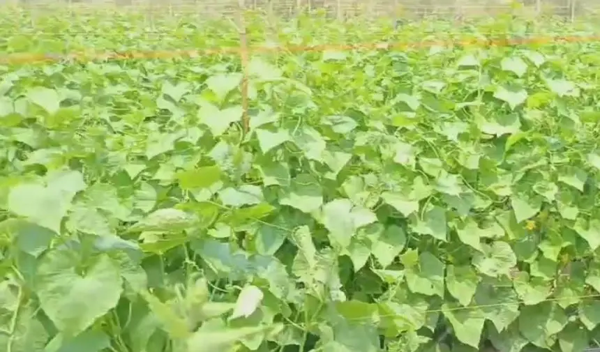ผัวโหดยิงเมียดับ คาดปมแค้นเมียตีจาก เพราะทนไม่ไหวถูกตบตี