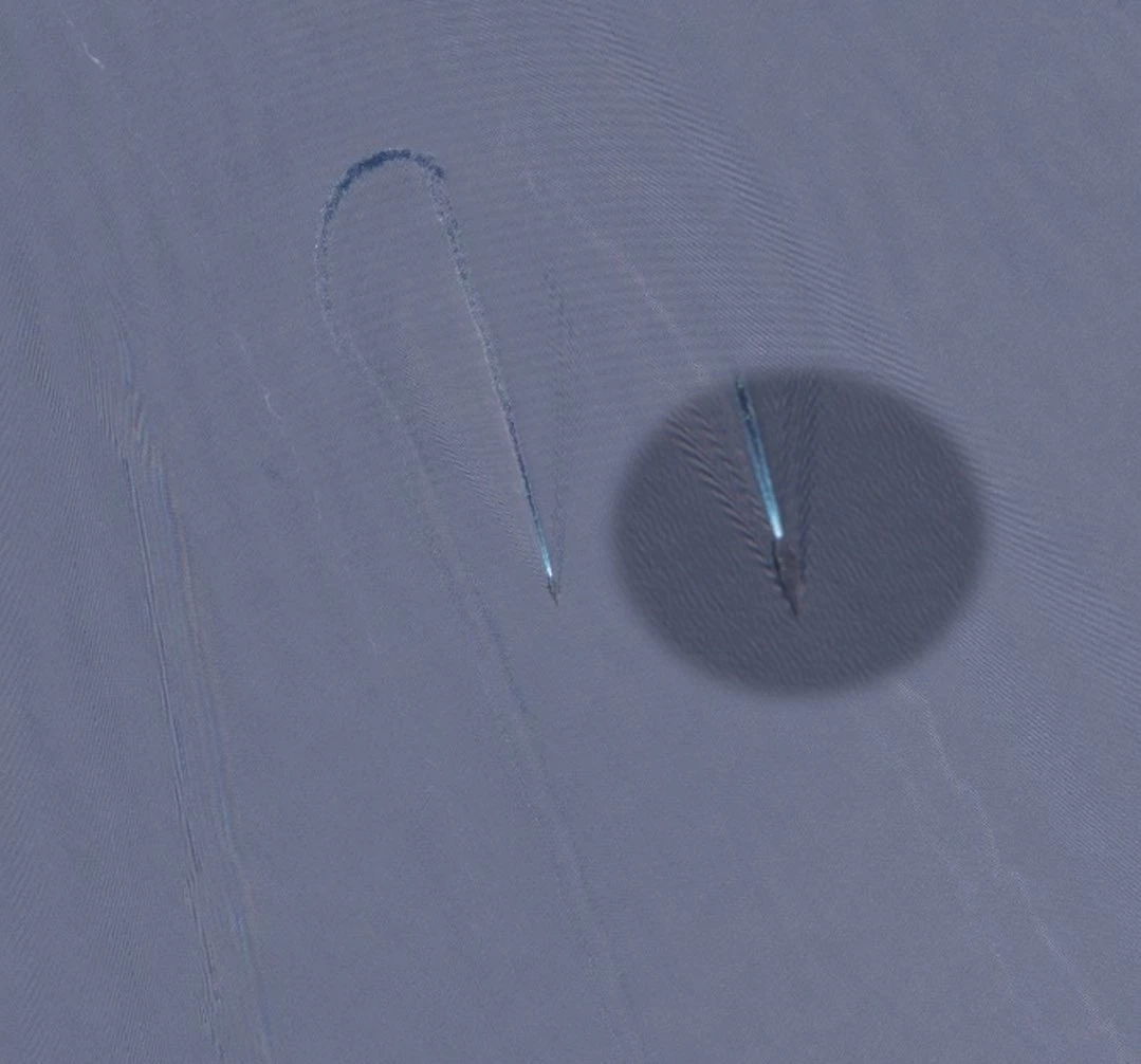 ภาพ : lobsterlarryliu