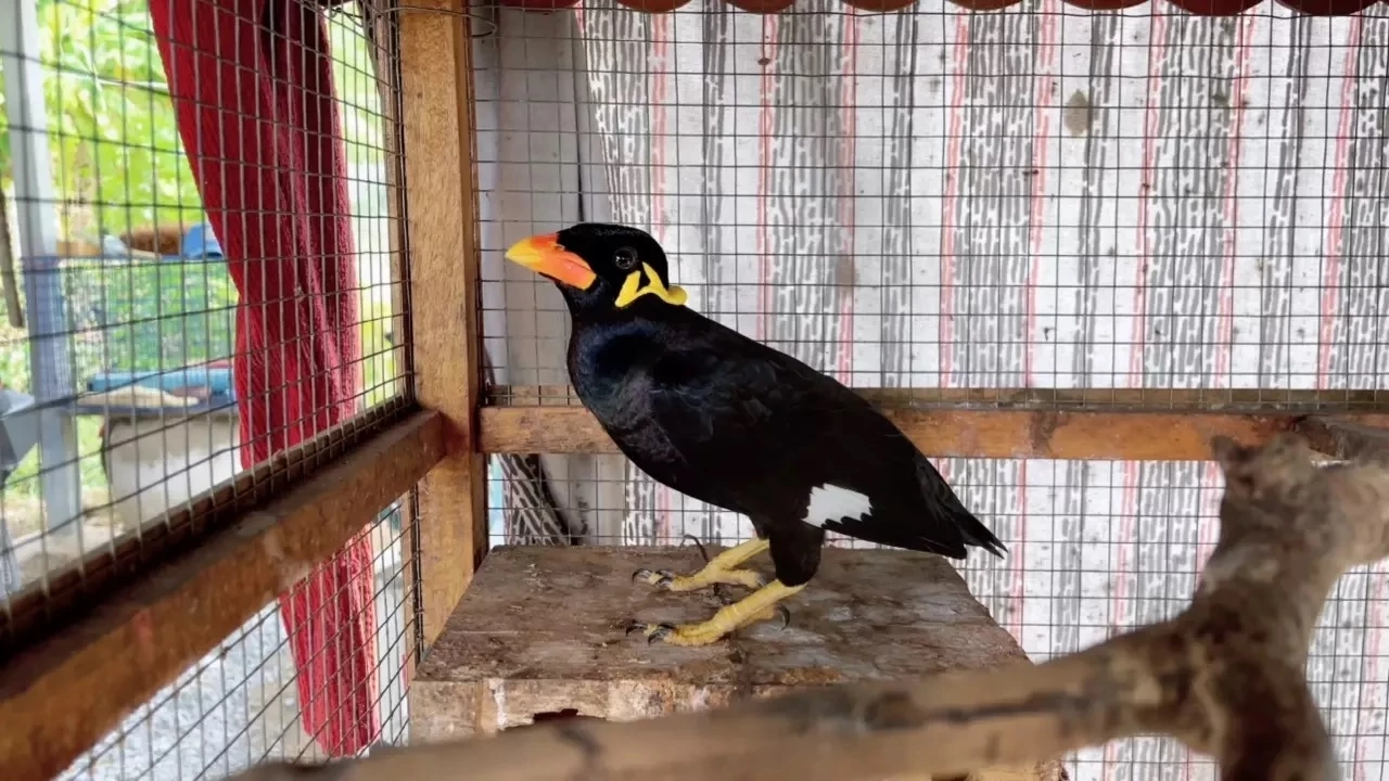 โค้งสุดท้าย หวยเด็ด เลขเด็ดงวดนี้ 1/4/66 รอลุ้นโชค ใครจะเป็นเศรษฐีคนใหม่ รู้กันวันนี้!