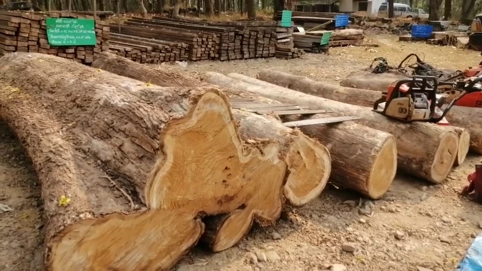 จับมอดไม้พกวิทยุสื่อสาร ดักฟังความเคลื่อนไหวเจ้าหน้าที่ แต่สุดท้ายไม่รอด