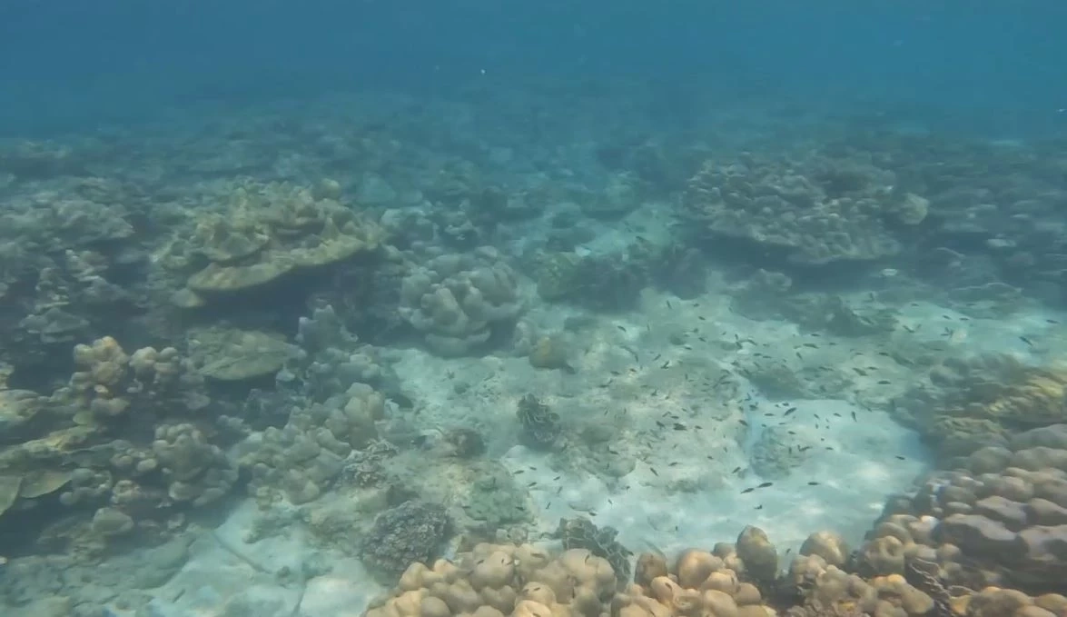 เตรียมจัดดำน้ำ "เกาะกระดาน" สร้างสถิติโลก หวังเร่งฟื้นฟูเศรษฐกิจ จ.ตรัง