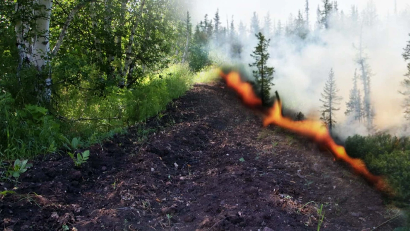 ปกป้องป่าด้วย 'แนวกันไฟ' ตัวช่วยลดการสูญเสียทรัพยากร