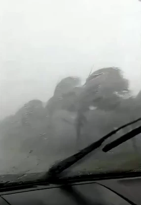 น่ากลัวสุด "พายุฤดูร้อน" ถล่มฉะเชิงเทรา กวาดต้นไม้ ตลาดนัด พังราบ (มีคลิป)